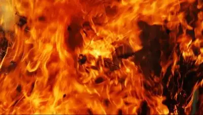 pixabay, фото - Новости Zakon.kz от 20.02.2021 13:19