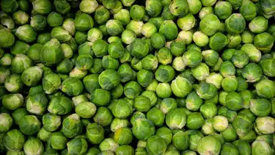 pxhere, фото - Новости Zakon.kz от 28.04.2020 22:47