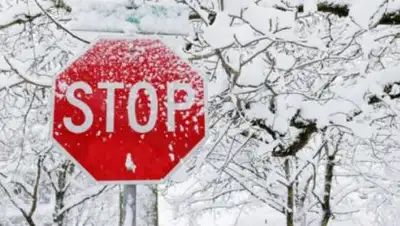 из открытых источников, фото - Новости Zakon.kz от 07.02.2021 00:44