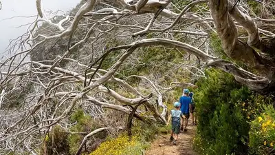 засуха, фото - Новости Zakon.kz от 21.07.2023 23:31