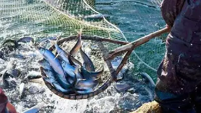 рыбалка, фото - Новости Zakon.kz от 08.11.2022 19:58