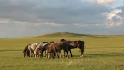 Zakon.kz, фото - Новости Zakon.kz от 05.05.2015 12:40