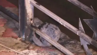 Zakon.kz, фото - Новости Zakon.kz от 10.05.2015 12:12