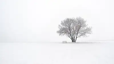 В степи Карагандинской области насмерть замерз мужчина , фото - Новости Zakon.kz от 22.02.2023 17:17