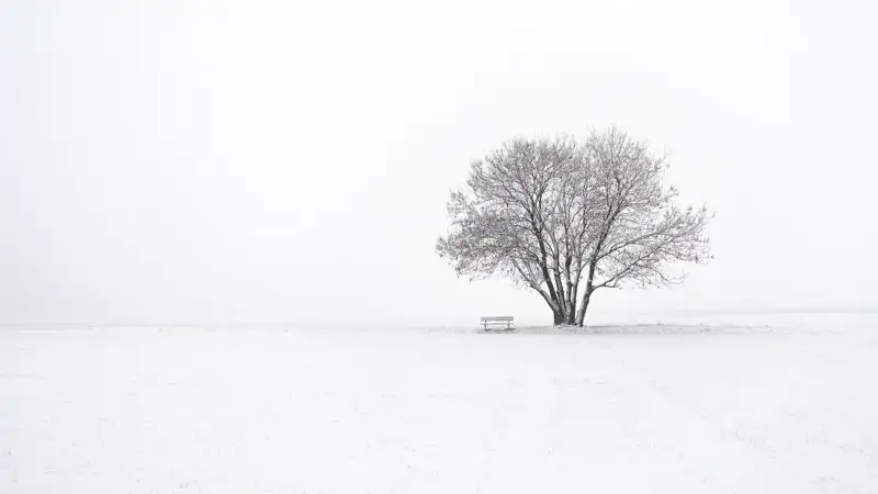 В степи Карагандинской области насмерть замерз мужчина