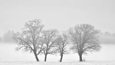 туман, снег, температура , фото - Новости Zakon.kz от 09.12.2021 19:07