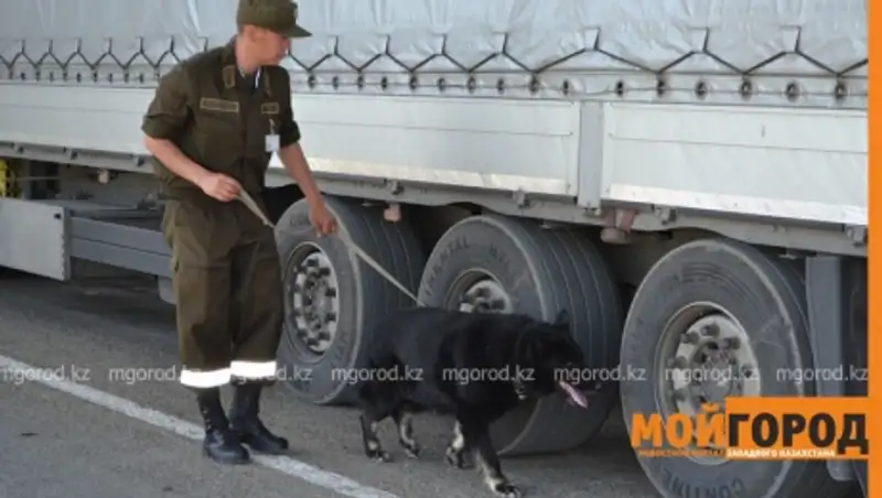 Падение рубля спровоцировало гигантский затор на казахстанско-российской границе