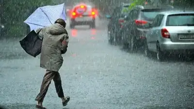 Zakon.kz, фото - Новости Zakon.kz от 18.07.2017 12:00