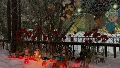 Ненецкий автономный округ / ВКонтакте, фото - Новости Zakon.kz от 02.11.2019 16:57