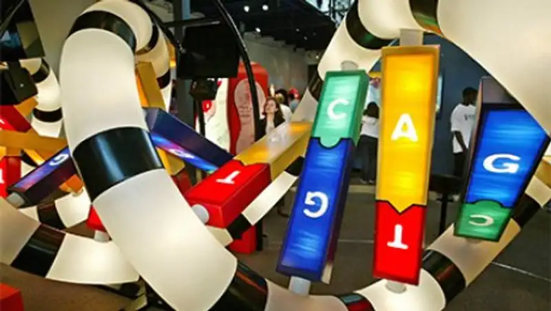 Назван секрет высокой продолжительности жизни человека