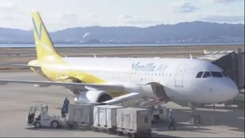 В Японии золотые слитки обнаружили в туалете самолёта