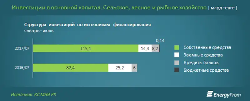 , фото - Новости Zakon.kz от 22.08.2017 10:56