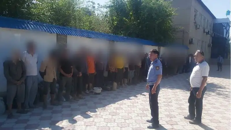 Незаконная добыча ферулы –  задержан 51 иностранец в Туркестанской области