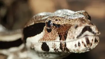 Zakon.kz, фото - Новости Zakon.kz от 29.03.2017 04:35