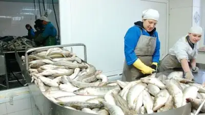 Zakon.kz, фото - Новости Zakon.kz от 11.02.2015 17:03