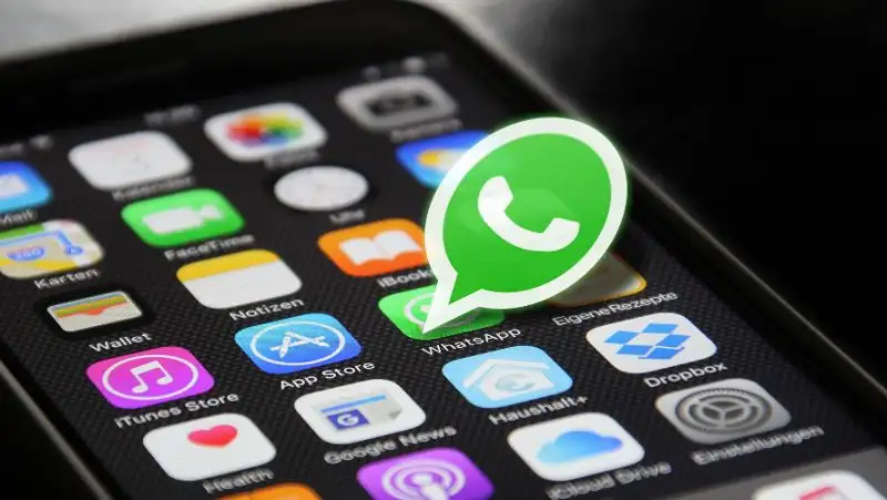 В WhatsApp появится чат с техподдержкой