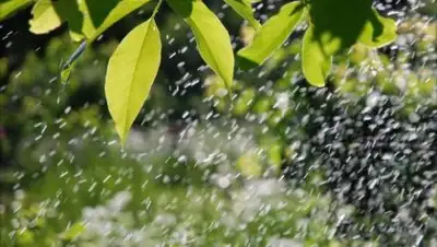 Zakon.kz, фото - Новости Zakon.kz от 25.07.2017 12:00