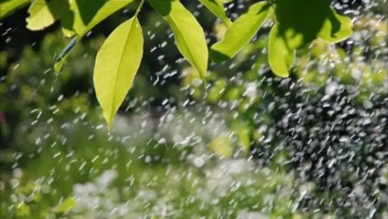 В Казахстане сохранится неустойчивая погода