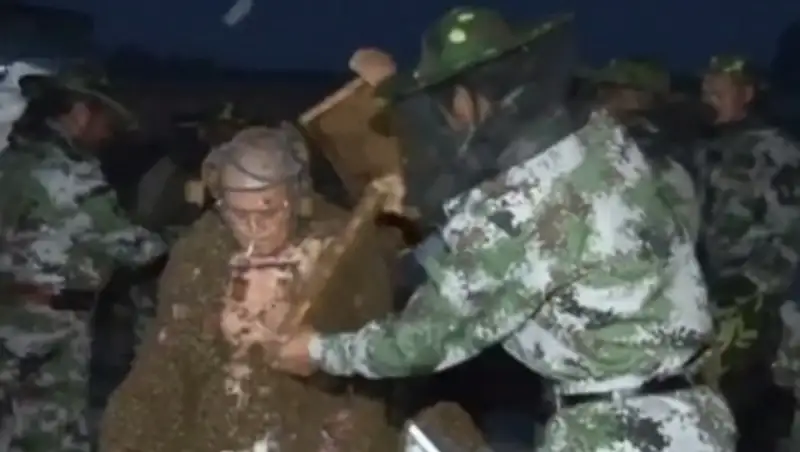 Китаец получил 2 тысячи укусов, посадив на себя миллион пчел