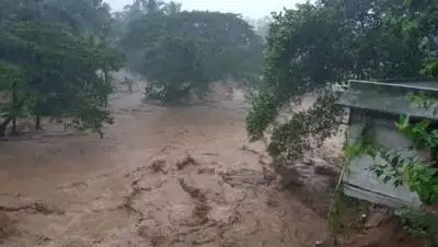 twitter/PanickarS, фото - Новости Zakon.kz от 06.10.2021 14:48