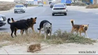 Zakon.kz, фото - Новости Zakon.kz от 19.01.2015 17:15