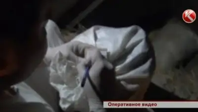 Zakon.kz, фото - Новости Zakon.kz от 09.09.2015 07:08