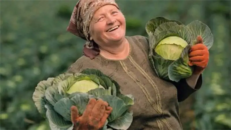 25 фотографий о том, что жизнь прекрасна