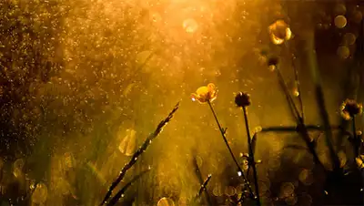 Zakon.kz, фото - Новости Zakon.kz от 22.07.2014 15:41