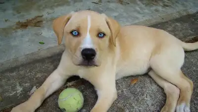 Zakon.kz, фото - Новости Zakon.kz от 17.02.2017 22:37