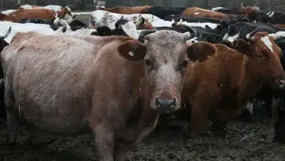 Zakon.kz, фото - Новости Zakon.kz от 22.10.2016 00:51