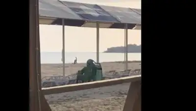 Lada.kz, фото - Новости Zakon.kz от 23.05.2018 07:29