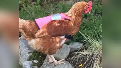 Zakon.kz, фото - Новости Zakon.kz от 19.08.2017 15:04