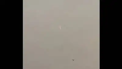 кадр из видео, фото - Новости Zakon.kz от 29.01.2021 23:13