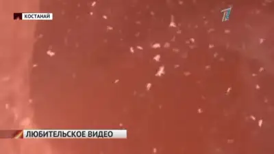 YouTube, фото - Новости Zakon.kz от 04.05.2020 23:24