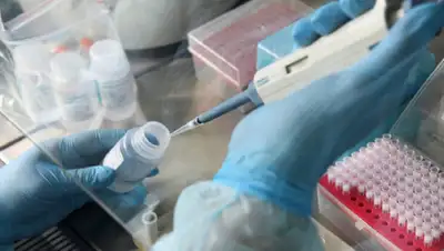 vestivrn.ru, фото - Новости Zakon.kz от 19.04.2020 10:02