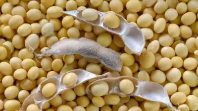 Zakon.kz, фото - Новости Zakon.kz от 01.04.2015 23:09