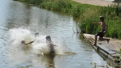 Zakon.kz, фото - Новости Zakon.kz от 15.05.2017 18:45