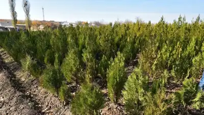 Zakon.kz, фото - Новости Zakon.kz от 10.11.2016 01:56