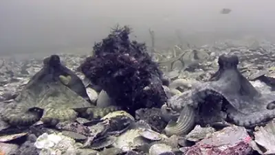 Zakon.kz, фото - Новости Zakon.kz от 30.01.2016 00:14