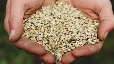 Zakon.kz, фото - Новости Zakon.kz от 05.12.2014 17:21