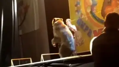 Zakon.kz, фото - Новости Zakon.kz от 10.10.2017 17:37