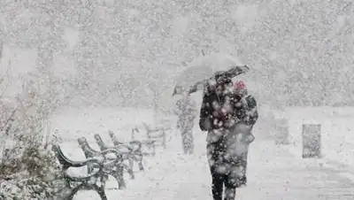 BNews.kz, фото - Новости Zakon.kz от 24.01.2019 09:29