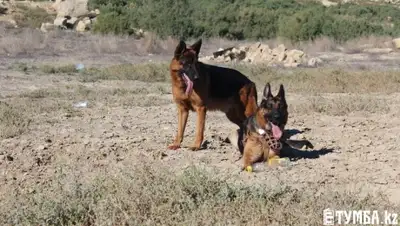 Zakon.kz, фото - Новости Zakon.kz от 29.10.2015 18:28