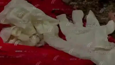 Zakon.kz, фото - Новости Zakon.kz от 06.07.2015 05:32