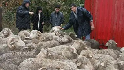 Zakon.kz, фото - Новости Zakon.kz от 04.10.2014 20:03