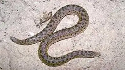 Zakon.kz, фото - Новости Zakon.kz от 26.09.2014 17:08