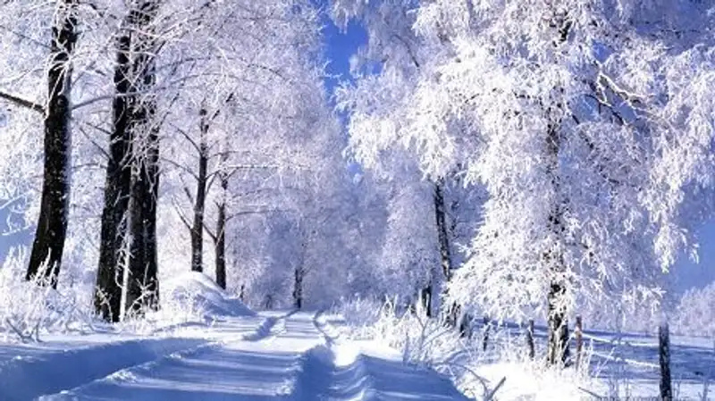 В Костанае из-за мороза отменены занятия в школах