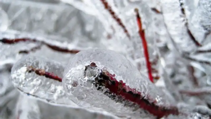 Гроза, мокрый снег, ветер - погода на среду в Казахстане