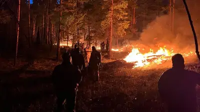 Крупный лесной пожар в Абайской области , фото - Новости Zakon.kz от 23.05.2023 14:30