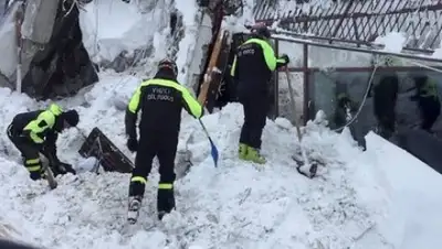 Zakon.kz, фото - Новости Zakon.kz от 24.01.2017 16:46